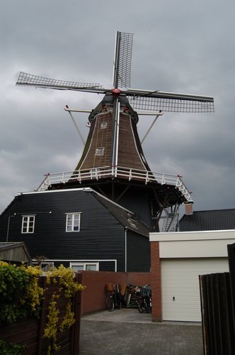 DSC_6264.JPG