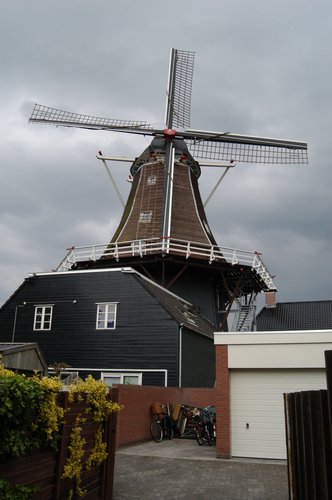 DSC_6265.JPG