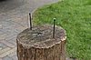 DSC_6259.JPG
