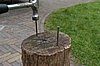 DSC_6261.JPG