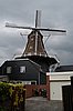 DSC_6264.JPG