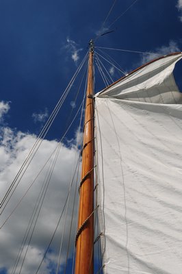 DSC_3896.JPG