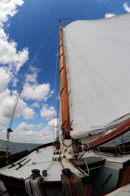 DSC_3935.JPG