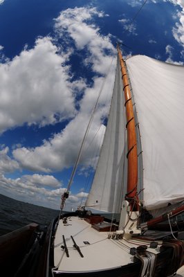 DSC_3941.JPG