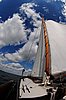 DSC_3941.JPG