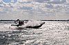 DSC_3995.JPG